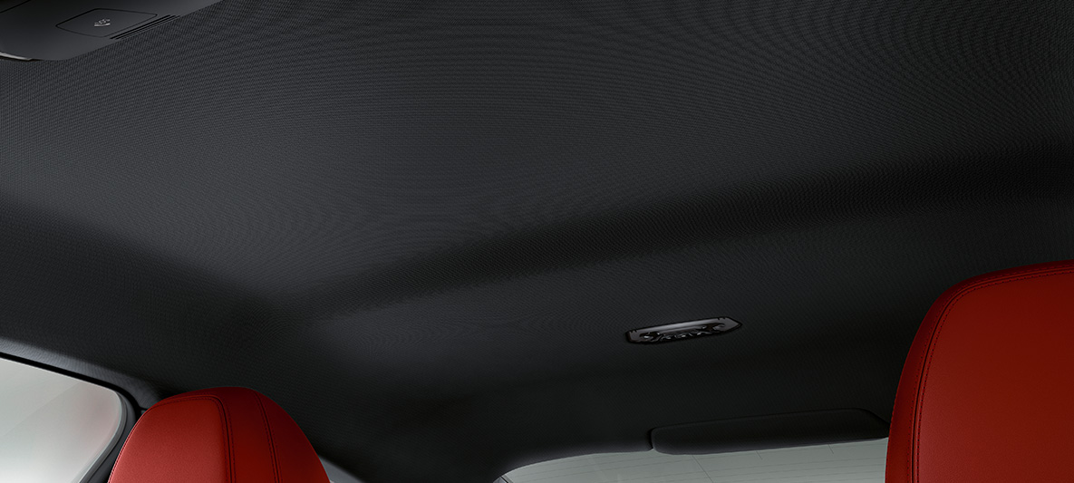 BMW Individual headliner BMW 4 Series Coupé Individual G22 2020 interior BMW Individual headliner anthracite BMW 4 Series Coupé G22 2020 interior cockpit