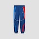 Puma BMW M Motorsport Regular Sweatpants  victoria blue