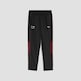Puma BMW M Motorsport SDS 2.0 Pants Black